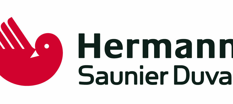 Assistenza caldaie Hermann Saunier Duval Roma | Manutenzione Installazione - Hermann Saunier Duval caldaie roma