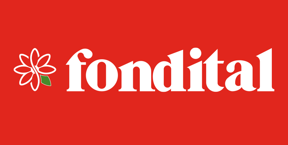 Assistenza caldaie Fondital Roma | Manutenzione Installazione - fondital caldaie roma e1782211269580